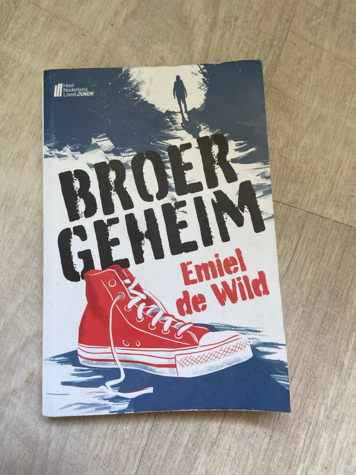 Broer Geheimm - Emiel de Wild (Jeugdboek), Ophalen of Verzenden, Gelezen, Fictie