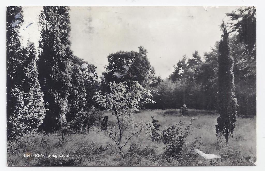 Lunteren De Tortelduif Gelopen ansichtkaart (B1310), Ophalen of Verzenden, 1960 tot 1980, Gelopen, Gelderland