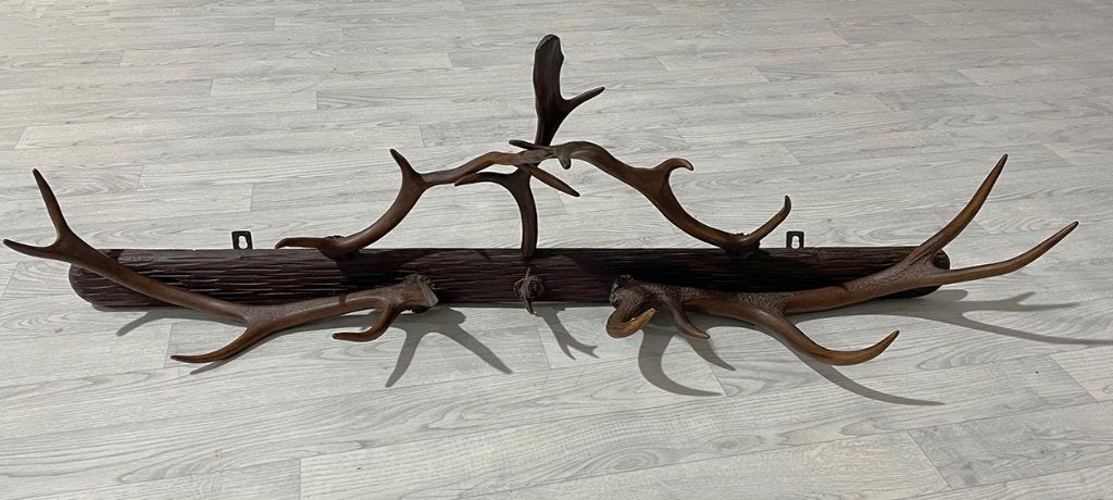 Oude houten GEWEI KAPSTOK - 132 cm breed, Overige materialen, Gebruikt, Nvt, Minder dan 100 cm