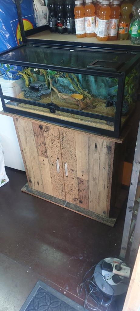 Terrarium + toebehoren, Dieren en Toebehoren, Reptielen en Amfibieën | Toebehoren, Ophalen