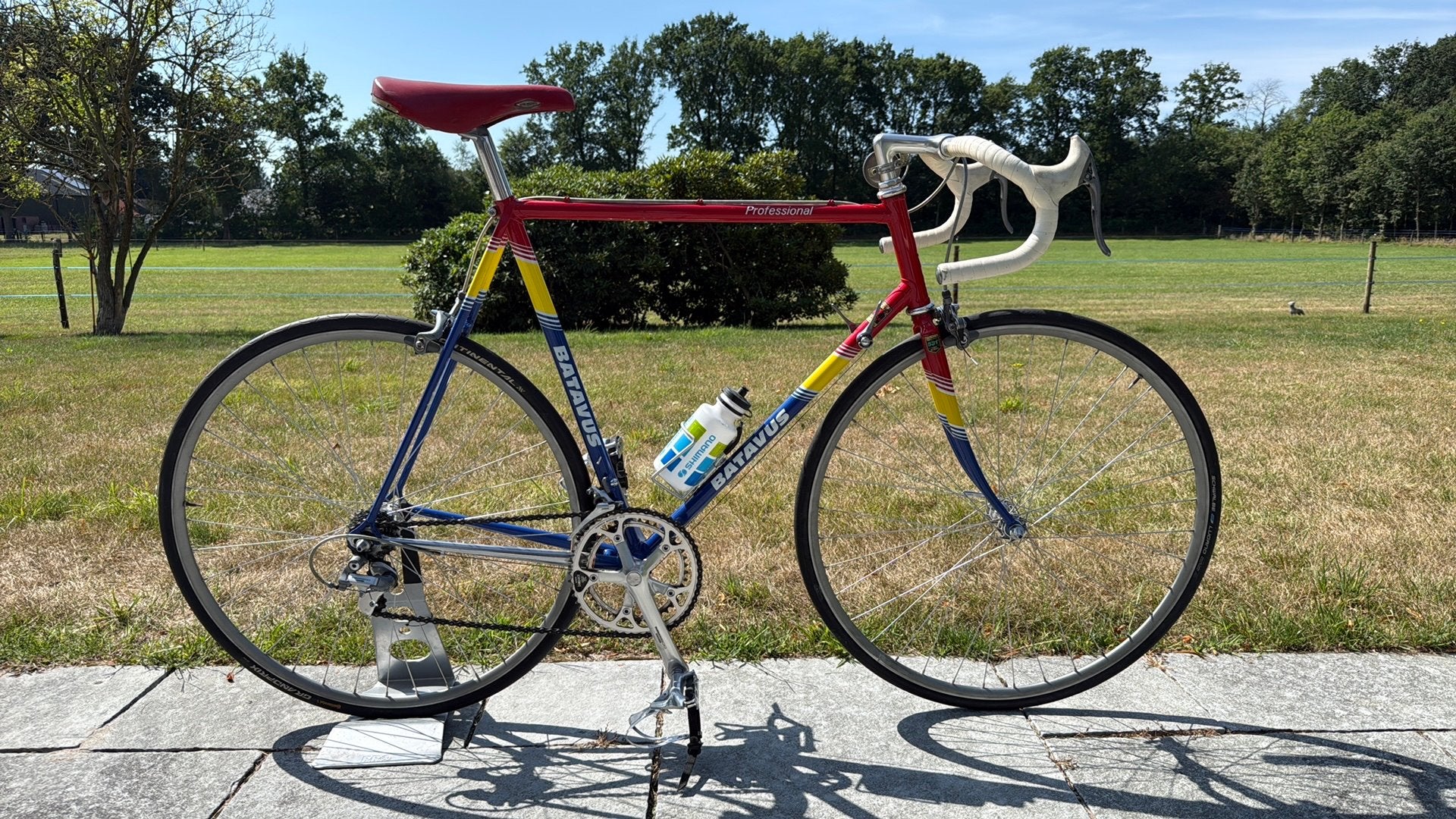 Batavus Professional 1989, 57 tot 61 cm, Ophalen, Zo goed als nieuw, Batavus