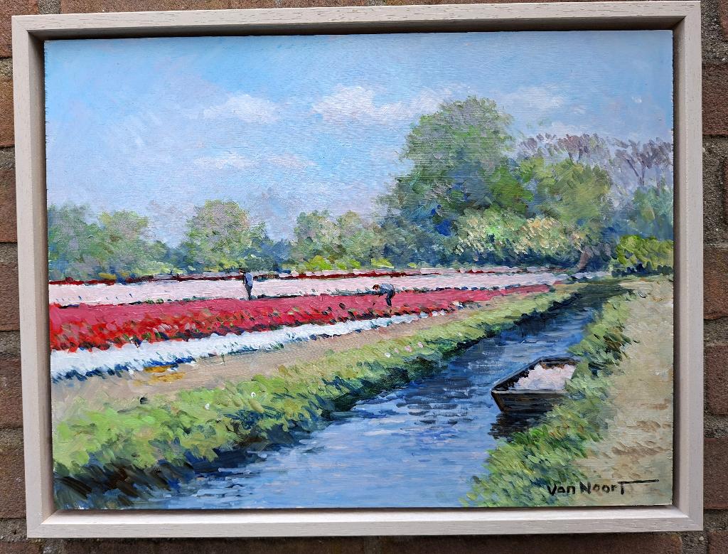 VAN NOORT, BOLLENVELD TE BENNEBROEK, Antiek en Kunst, Ophalen of Verzenden
