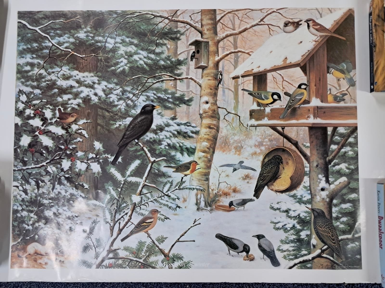 4 Natuur Educatieve platen - Bos, Sloot, Winter, Wei, Ophalen, Natuur en Biologie