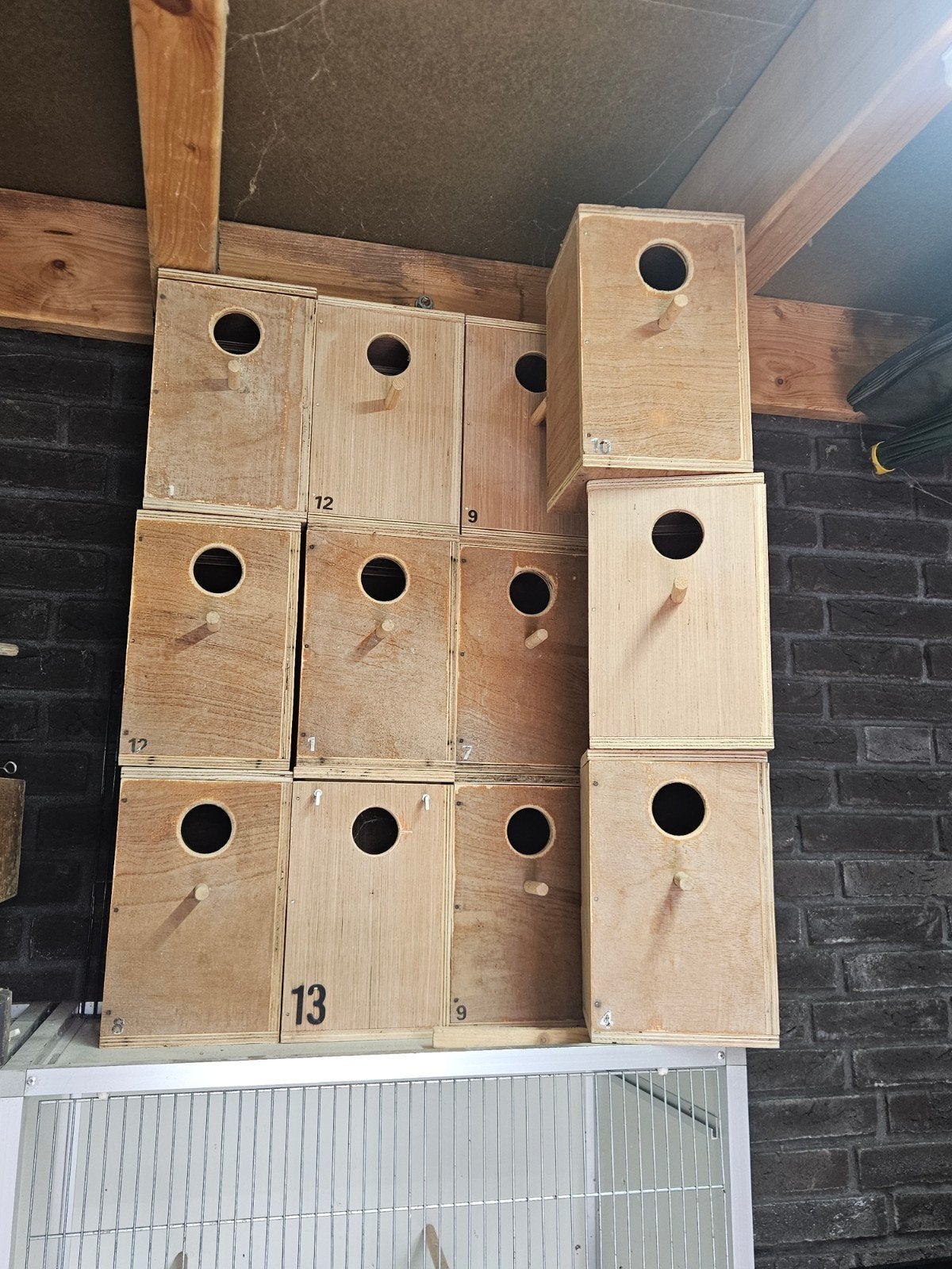 12 stuks broedblokken voor parkieten, Dieren en Toebehoren, Ophalen, Gebruikt, Hout, Broedkooi of Kweekkooi