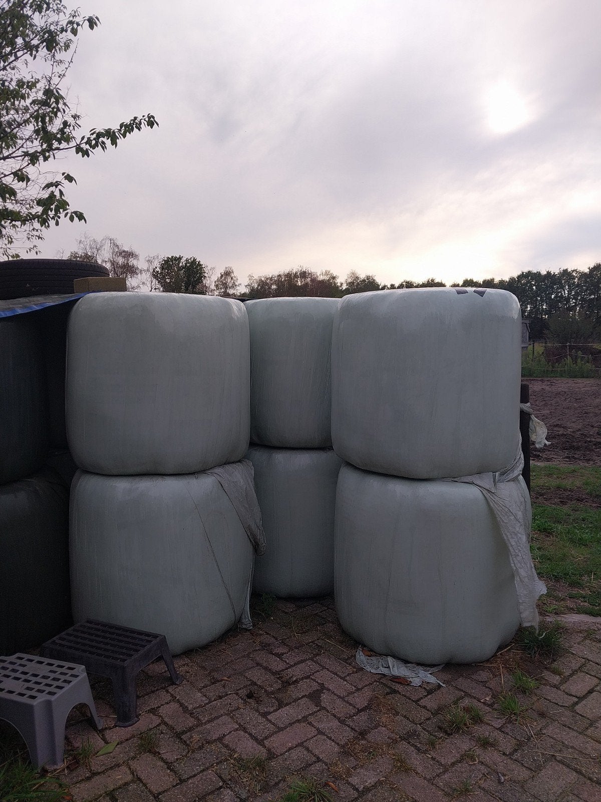Balen hooi, Ophalen, Vee