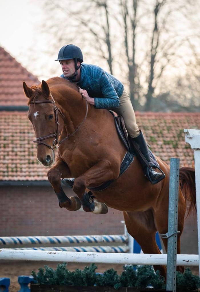 Stoere 9 jarige allround merrie, Dieren en Toebehoren, Paarden, Merrie, 7 tot 10 jaar, 165 tot 170 cm, Met stamboom