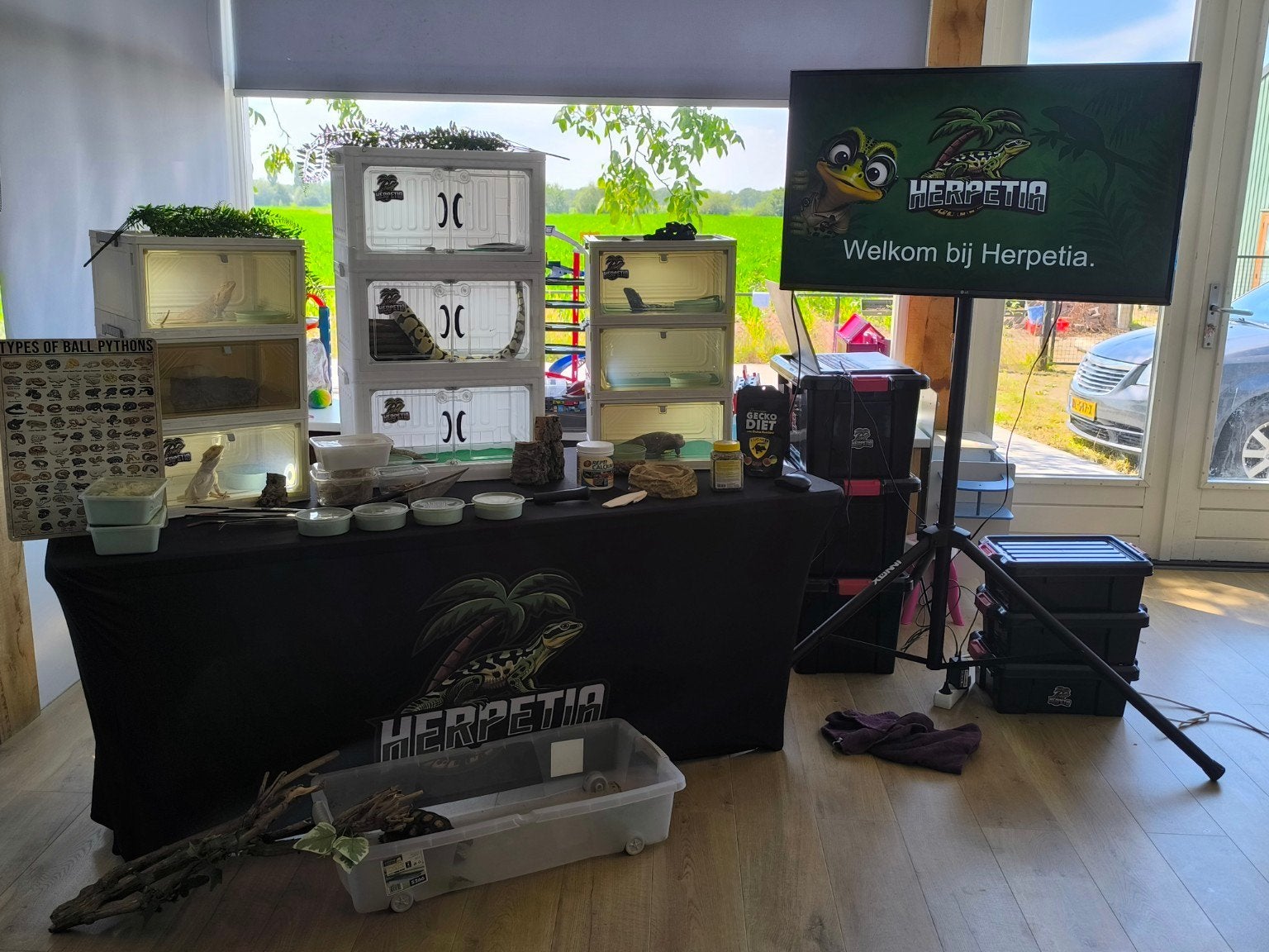 Kinderfeestje met Reptielen aan Huis!, Schmink- of Themafeestjes