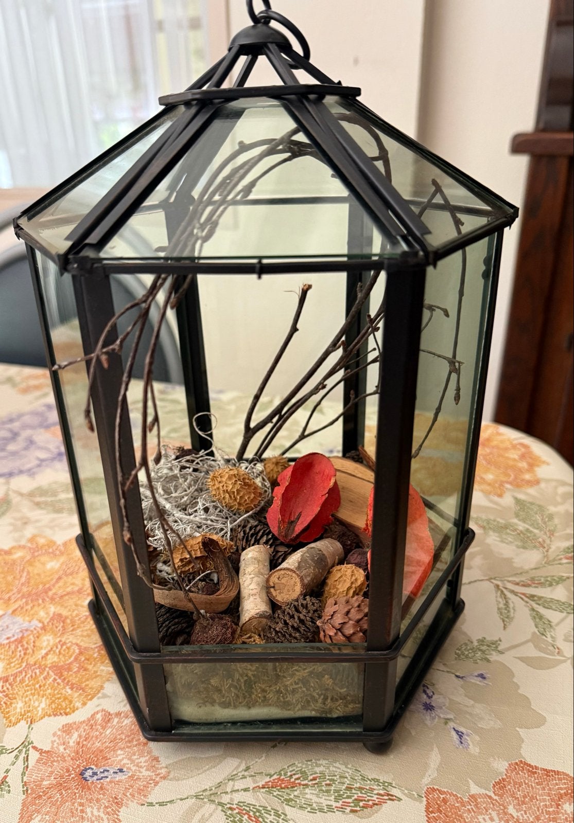 glazen terrarium in lantaarnvorm gevuld met decoratie, Zwart, Ophalen of Verzenden, Metaal, Landelijk