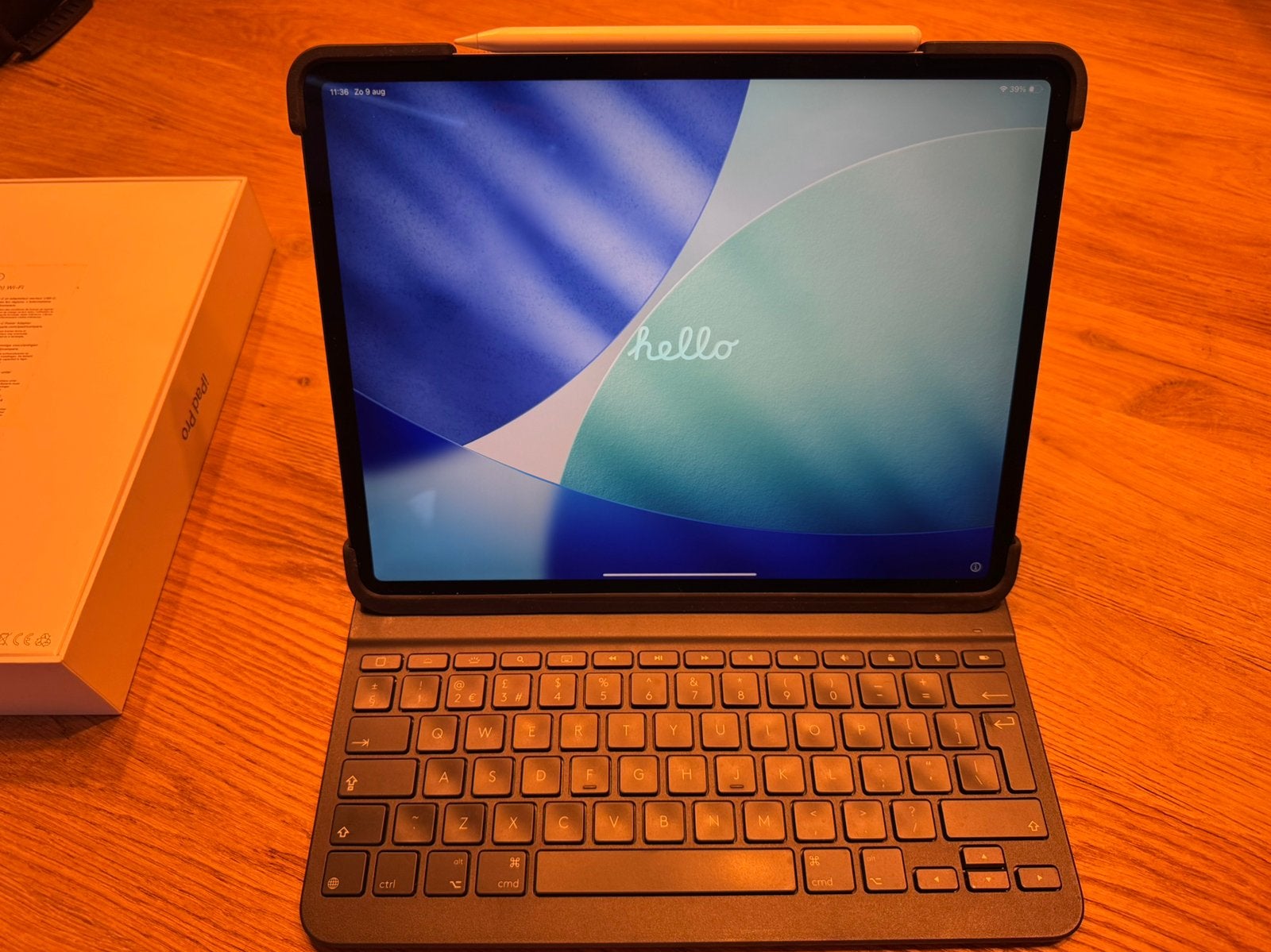 Apple iPad Pro 12.9 inch 256 Gb Space Grey + vele accesoires, 12 inch, Ophalen of Verzenden, Zo goed als nieuw, Apple iPad Pro