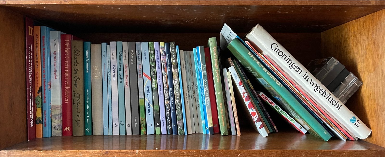 Diverse boeken in Gronings dialect, Boeken, Ophalen, Gelezen, Nederland