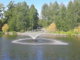 Vijver fontein, Ophalen, Gebruikt