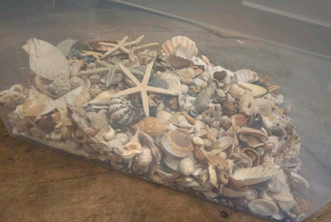 Mega veeel schelpen, Ophalen, Schelp(en)