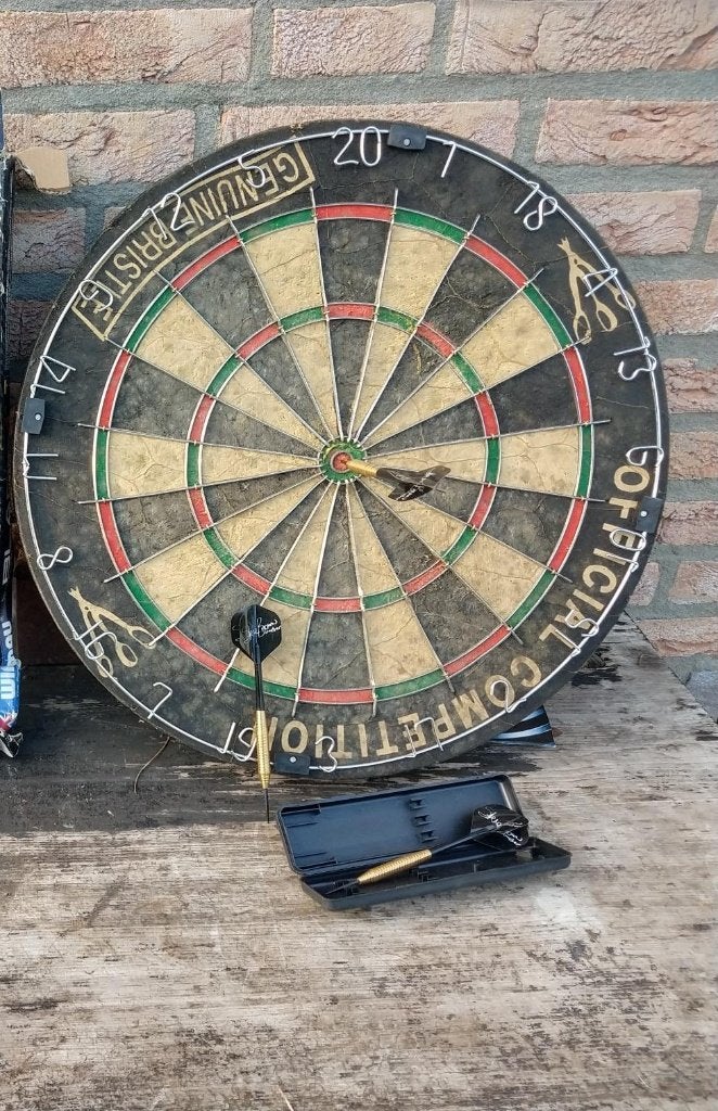 dartbord met 3 pijlen, Sport en Fitness, Darts, Ophalen, Dartbord met pijlen