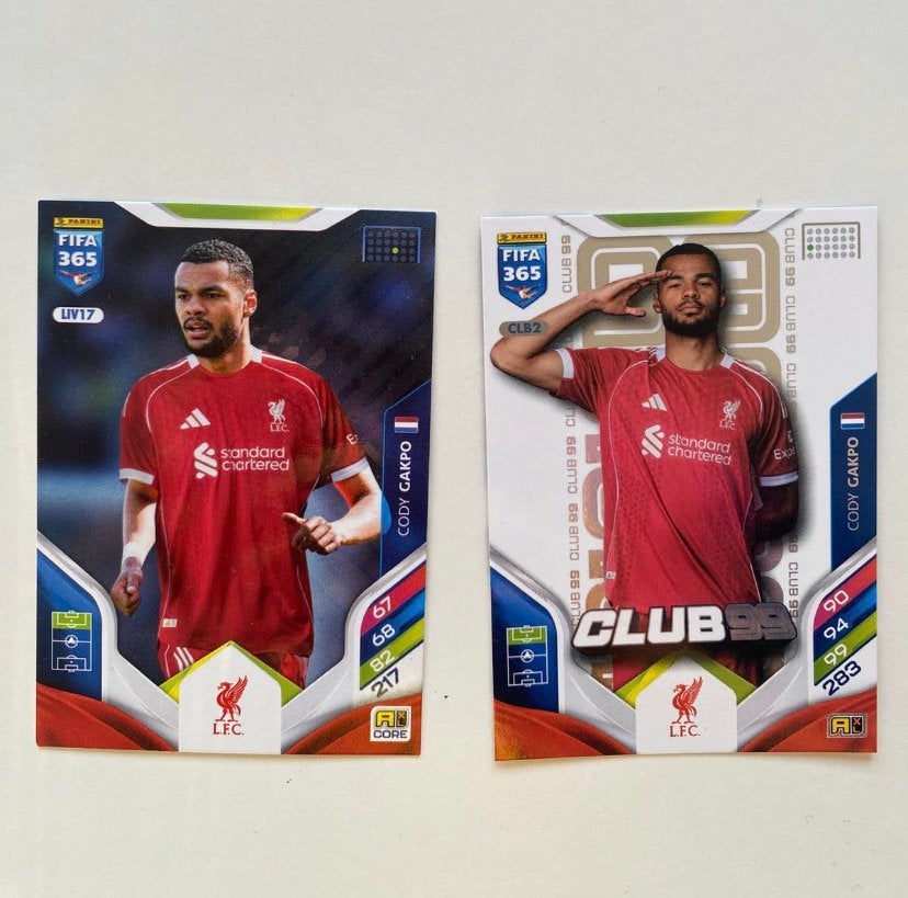 Voetbalkaartjes cody gakpo, Ophalen of Verzenden, Zo goed als nieuw, Plaatje