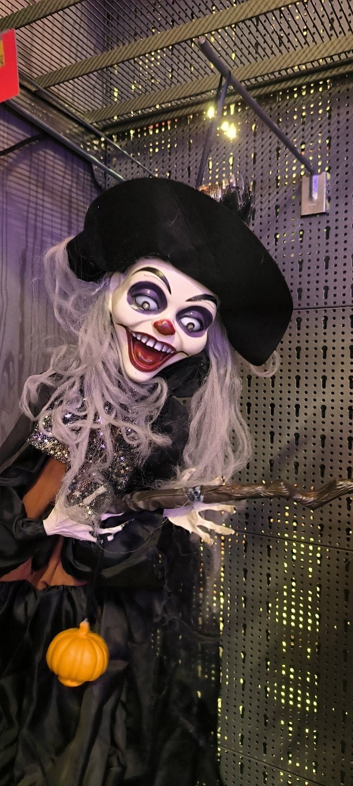 Grote Halloween Heks op Bezem spreekt Geluid  Lichtgeven, Hobby en Vrije tijd, Ophalen of Verzenden, Nieuw, Halloween of Griezel