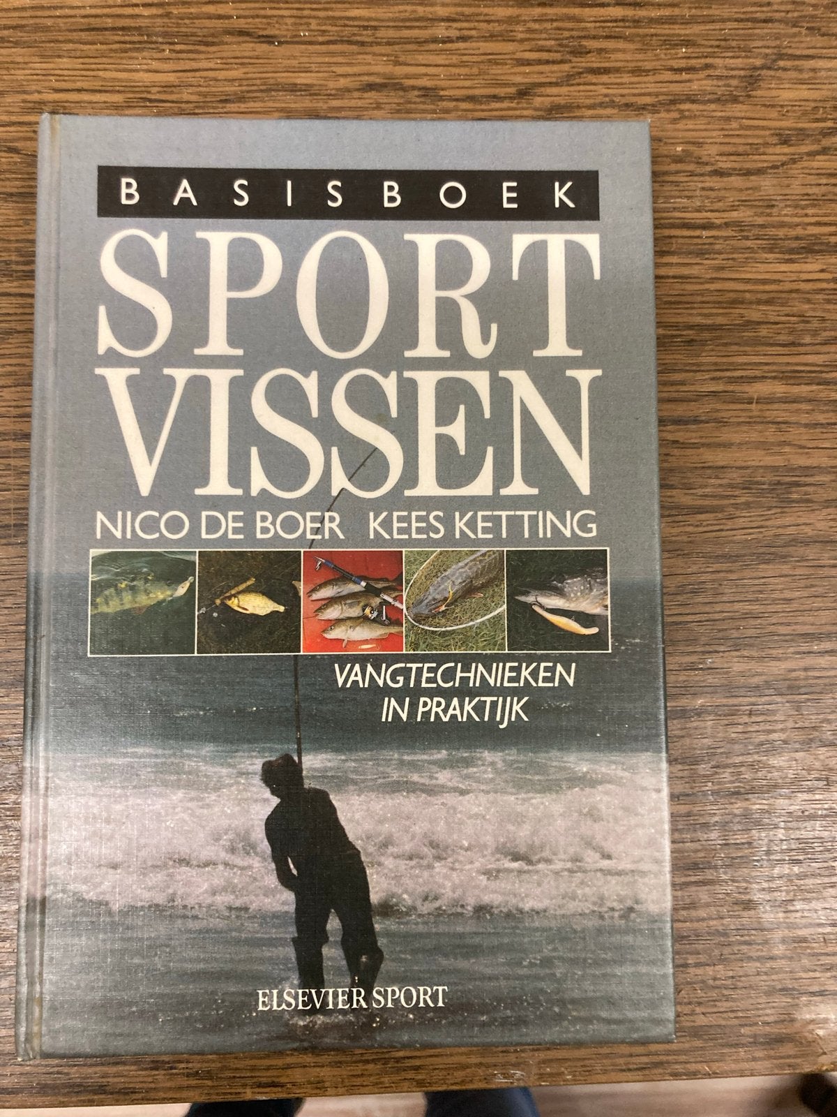 Basisboek Sport Vissen - Nico de Boer & Kees Ketting, Ophalen of Verzenden, Zo goed als nieuw, Watersport en Hengelsport