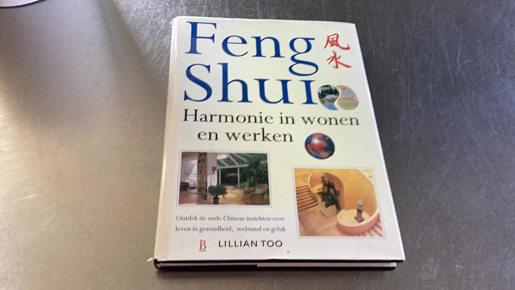 L. Too - Feng Shui, Astrologie, Overige typen, Ophalen of Verzenden, Zo goed als nieuw