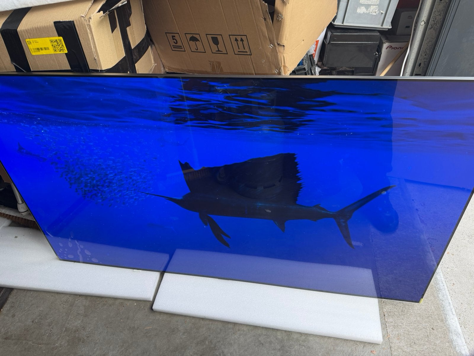 Foto 7 van Lg oled c5 65 inch