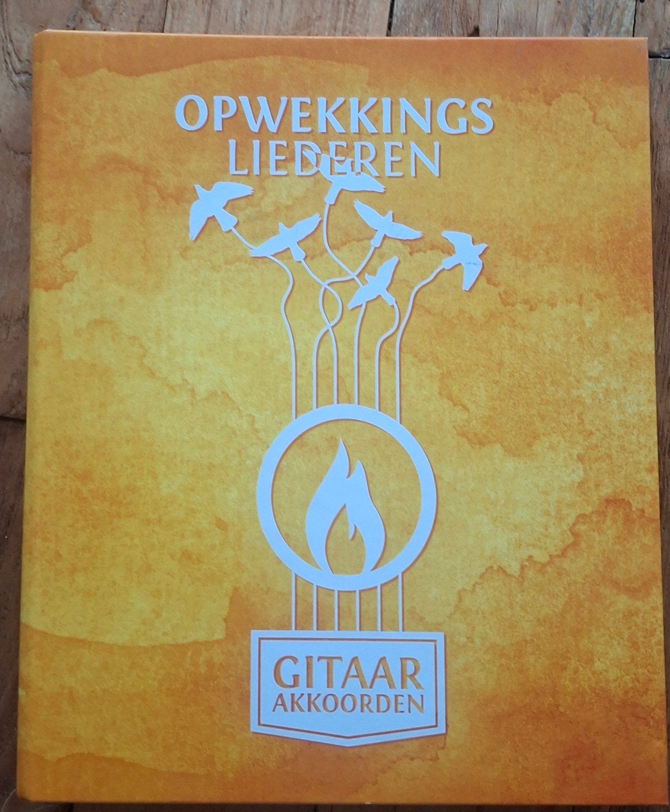 Opwekkingsliederen Gitaar Akkoorden, Ophalen of Verzenden, Gelezen, Onbekend, Christendom | Protestants