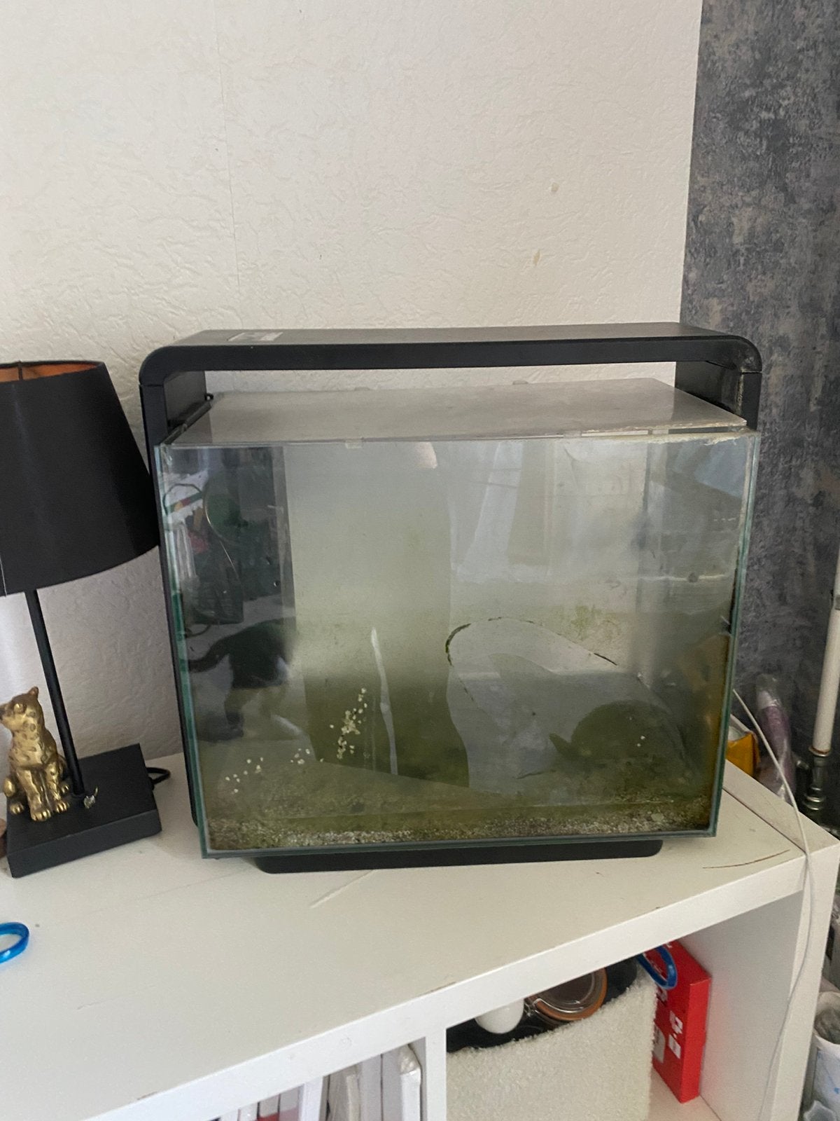 Aqaurium incl verwarming en poml, Ophalen, Zo goed als nieuw, Leeg aquarium