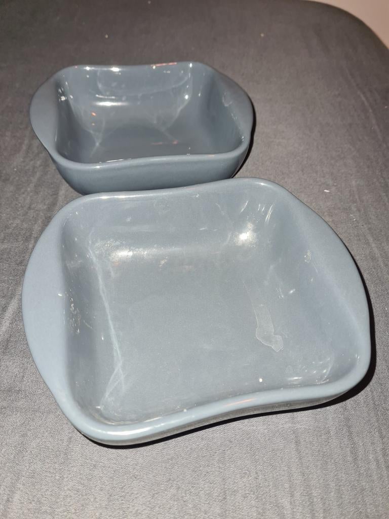 2 stuks Vivo Villeroy & Boch Group schalen, Porselein of Keramiek, Schaal, Ophalen of Verzenden, Zo goed als nieuw