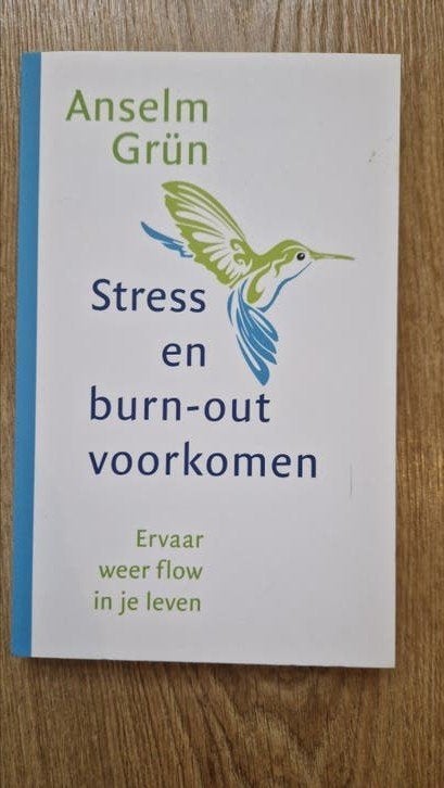 Anselm Grün - Stress en burn-out voorkomen, Ophalen of Verzenden, Zo goed als nieuw