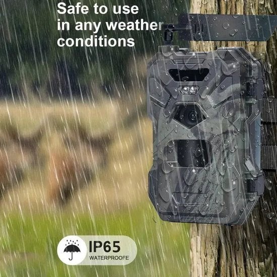 Foto 2 van 4G Wildcamera – Jachtcamera – Trailcamera