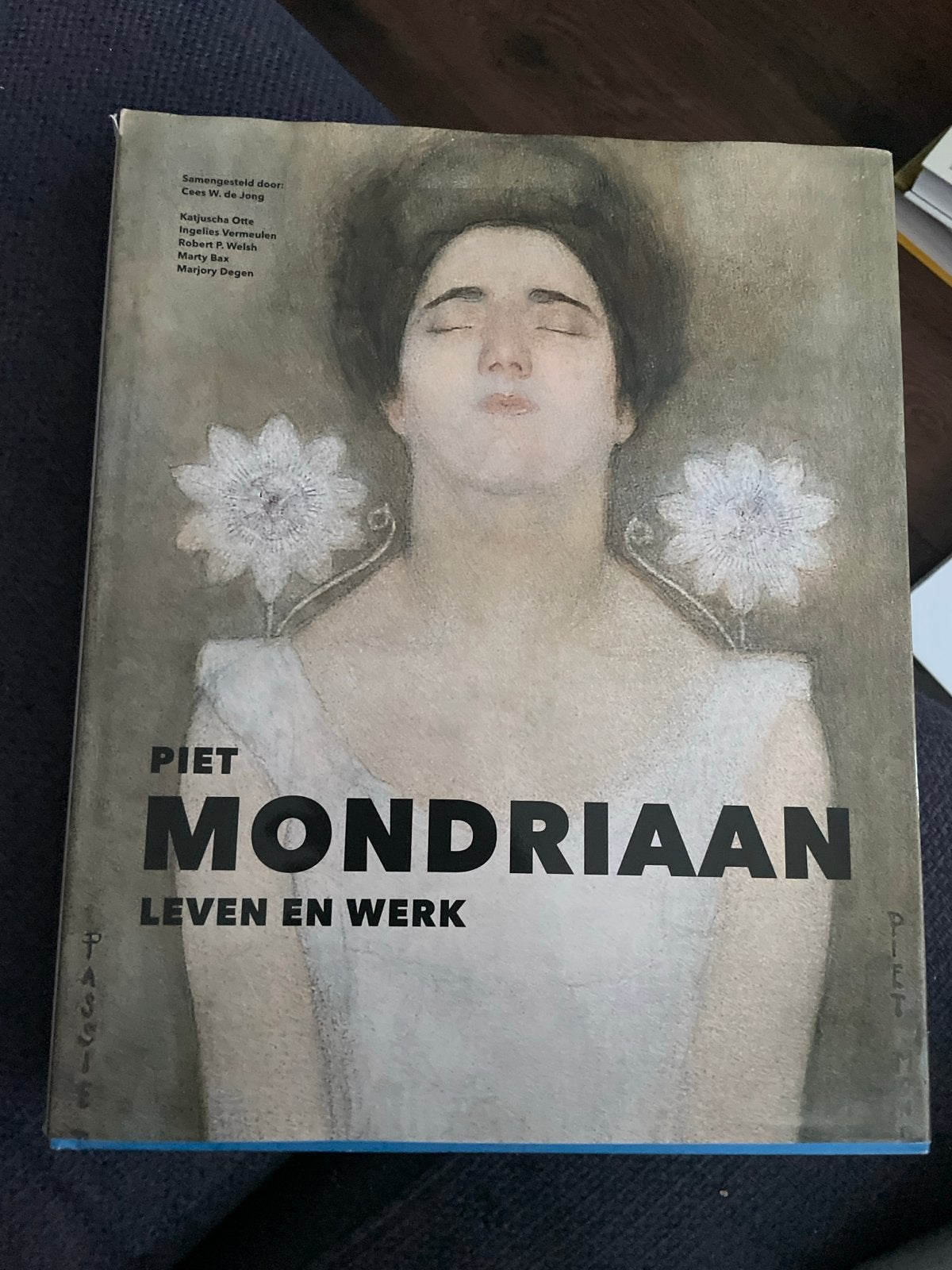 Piet Mondriaan: Leven en Werk - Kunstboek, Ophalen of Verzenden, Gelezen, Schilder- en Tekenkunst