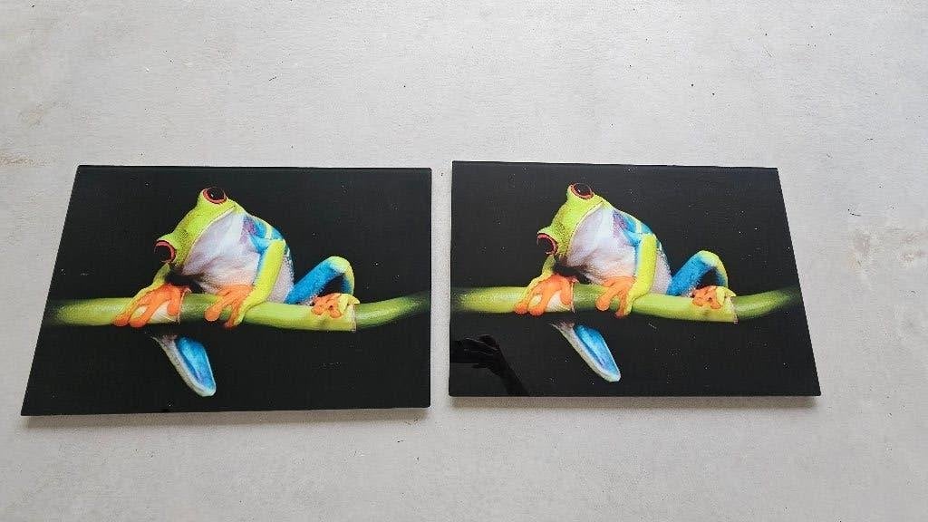 2 schilderijen van kikker op plexiglas., Ophalen, Realistisch, Dieren, Overige technieken