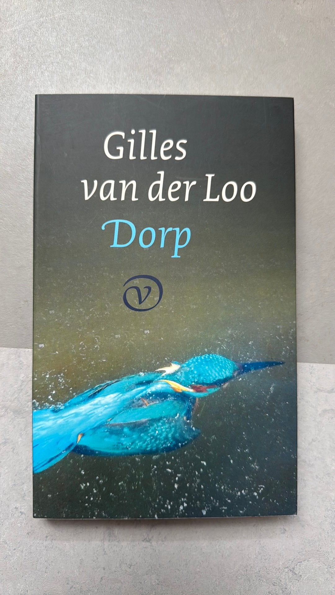 Gilles van der Loo - Dorp, Ophalen of Verzenden, Zo goed als nieuw, Gilles van der Loo
