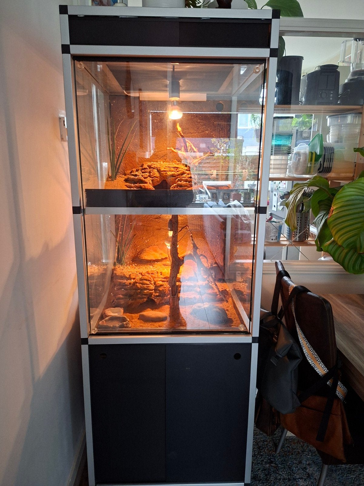 Terrarium met stelling van Dutchrana, Dieren en Toebehoren, Reptielen en Amfibieën | Toebehoren, Ophalen of Verzenden
