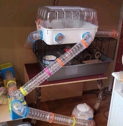 Mooie hamsterkooi met alle toebehoren., Dieren en Toebehoren, Ophalen, Zo goed als nieuw, Loopwiel of Rad