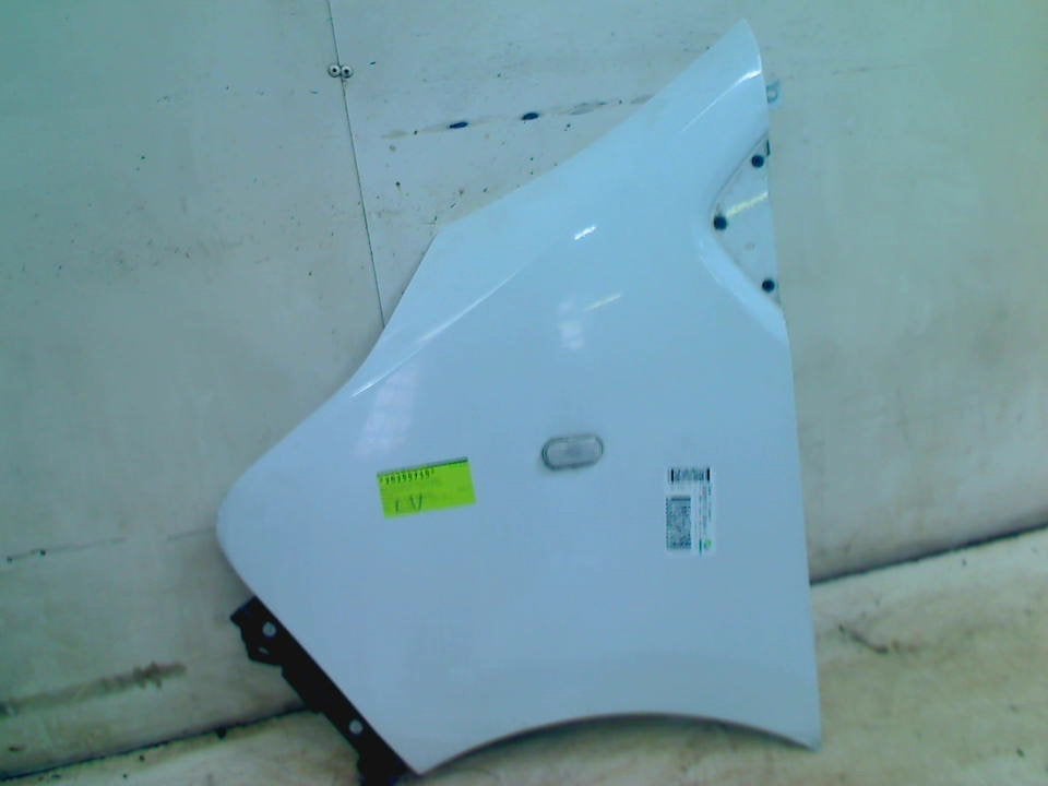 Spatbord Links Voor Opel Vivaro (2016-03/2019-12), Gebruikt, Bahnhofsplatz, Rüsselsheim am Main 65423, , Duitsland, Opel, Opel Automobile GmbH