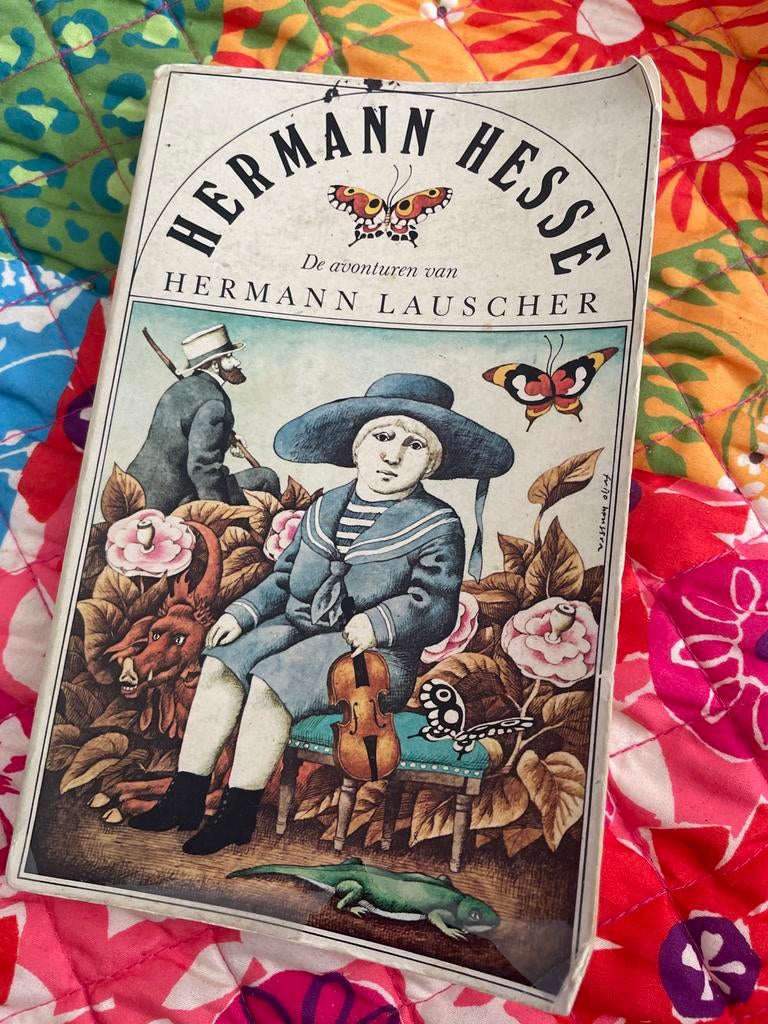 Hermann Hesse - De avonturen van Hermann Lauscher, Boeken, Literatuur, Ophalen of Verzenden, Gelezen, Europa overig