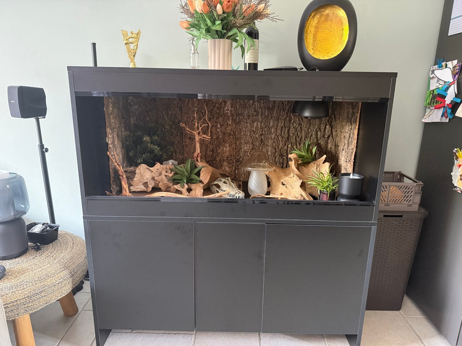 Terrarium, Ophalen, Zo goed als nieuw