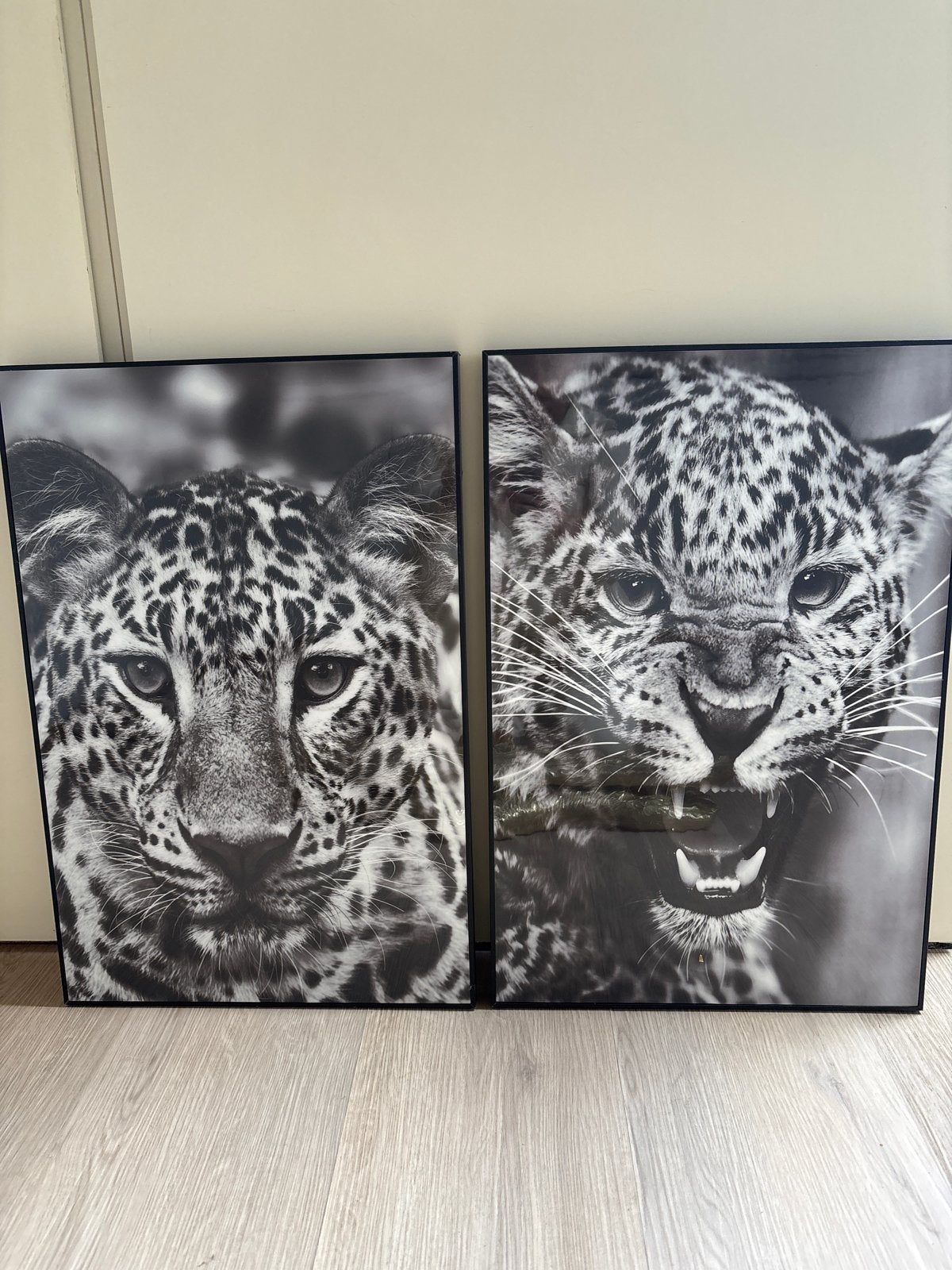 Set van 2 ingelijste luipaard prints (zwart-wit), Huis en Inrichting, Ophalen, 50 – 75, Minder dan 50 cm, Print