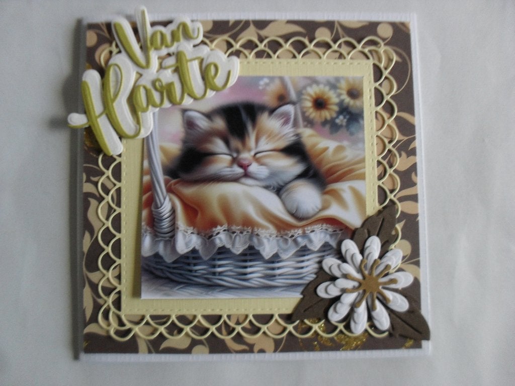 linnekaart set 366, Ophalen of Verzenden, Nieuw, Overige thema's, Pons of Mal