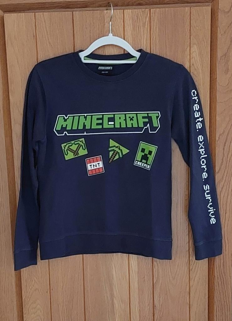 Minecraft Trui -  Maat 146/152, Ophalen, Zeeman, Trui of Vest, Zo goed als nieuw