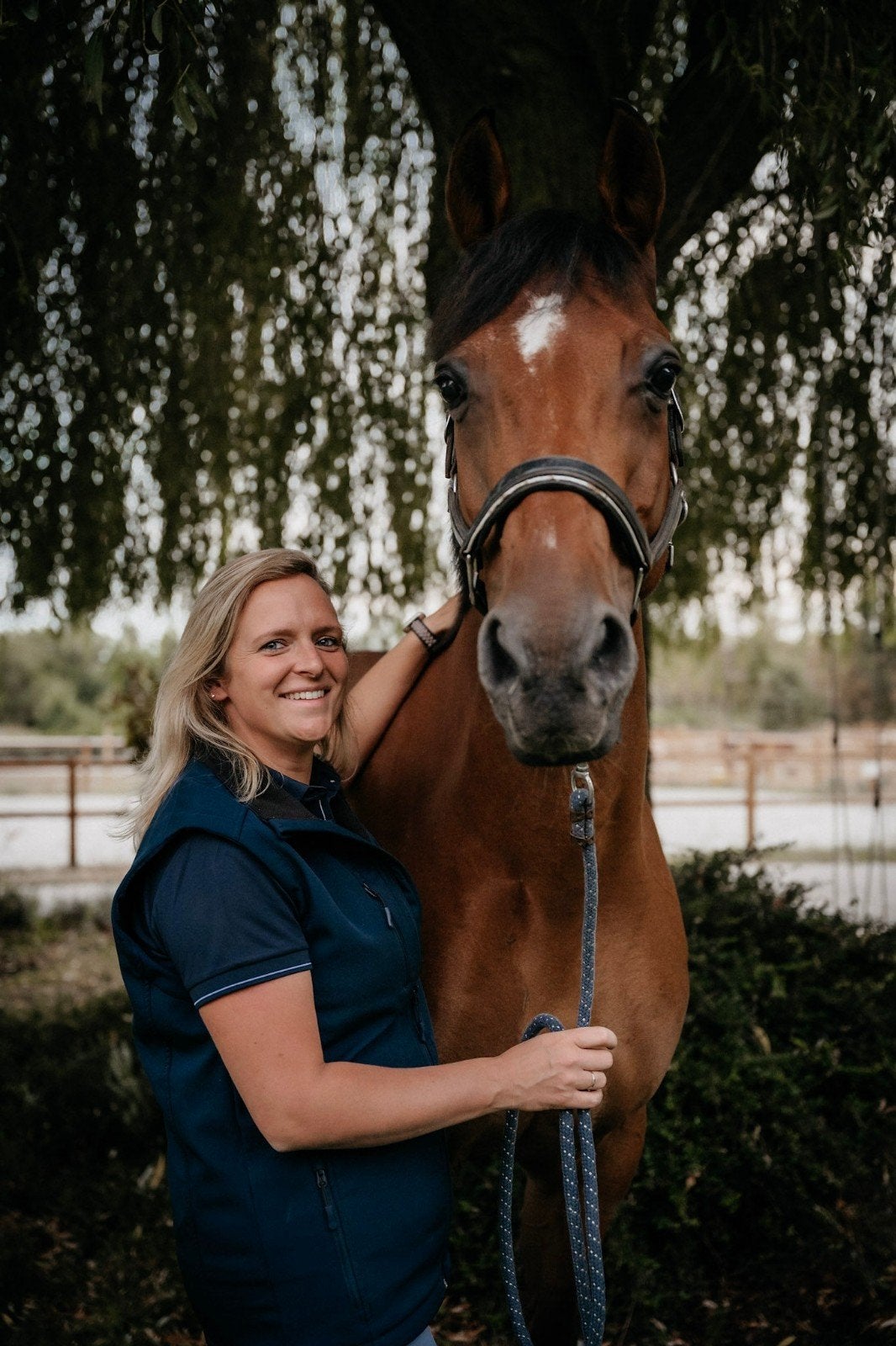 paarden doorrijden/ trainen