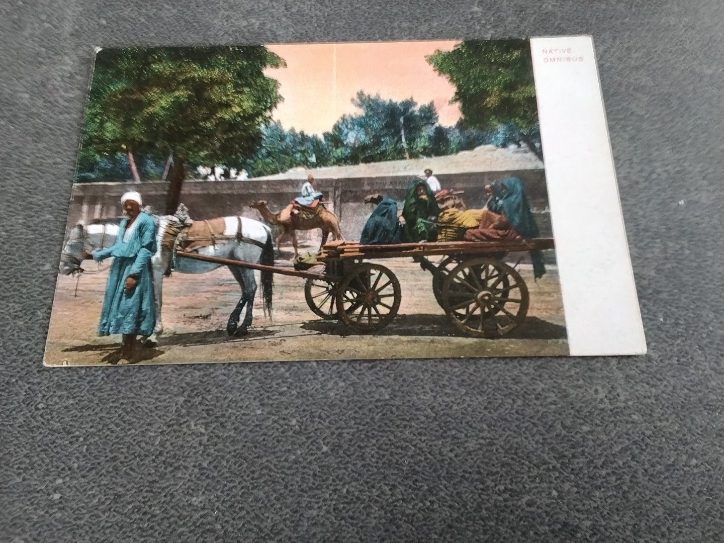 Egypte Native Omnibus, Ophalen of Verzenden, Voor 1920, Ongelopen, Buiten Europa