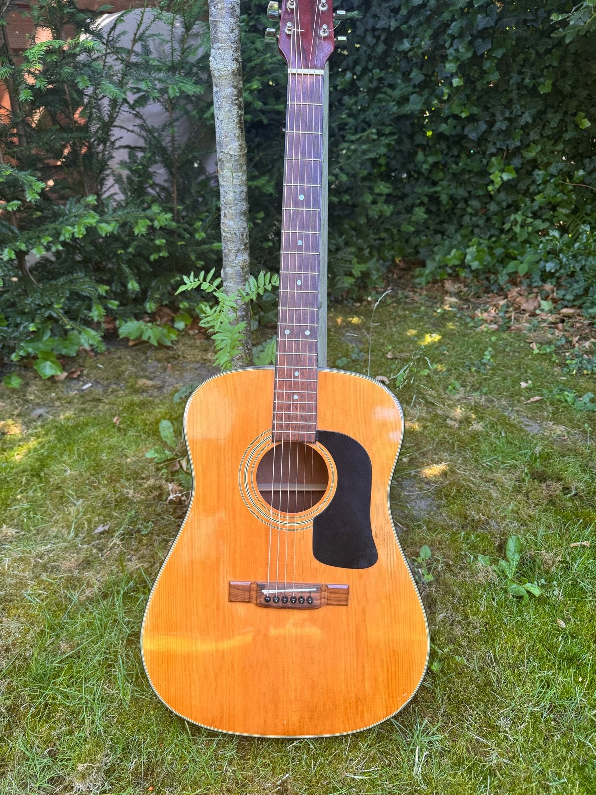 Washburn Westerngitaar, Ophalen, Gebruikt, Western- of Steelstringgitaar