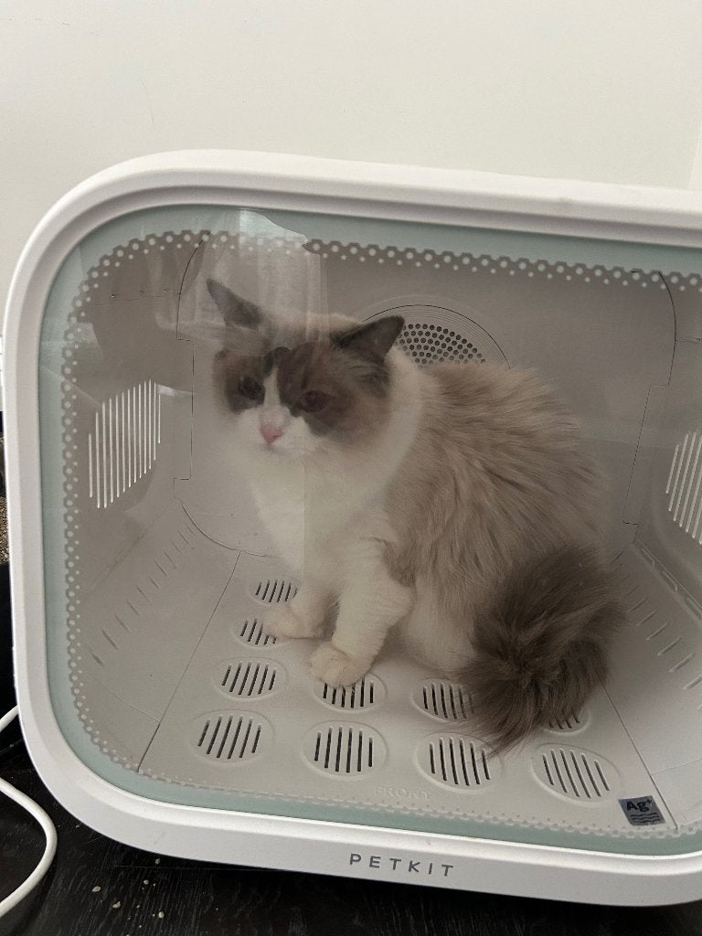 Petkit dierendroger Airsalon Max Smart, Dieren en Toebehoren, Ophalen