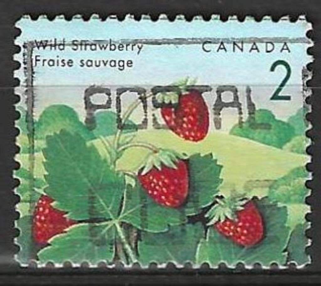 Canada 1992 - Yvert 1263 - Wilde bessen - Aardbeien (ST), Verzenden, Gestempeld, Noord-Amerika