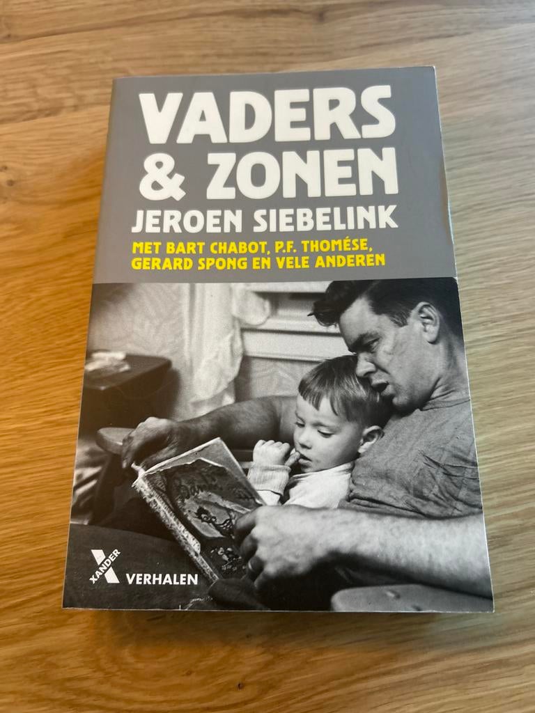 Vaders & Zonen - Jeroen Siebelink (Verhalen), Boeken, Ophalen of Verzenden, Zo goed als nieuw, Overige