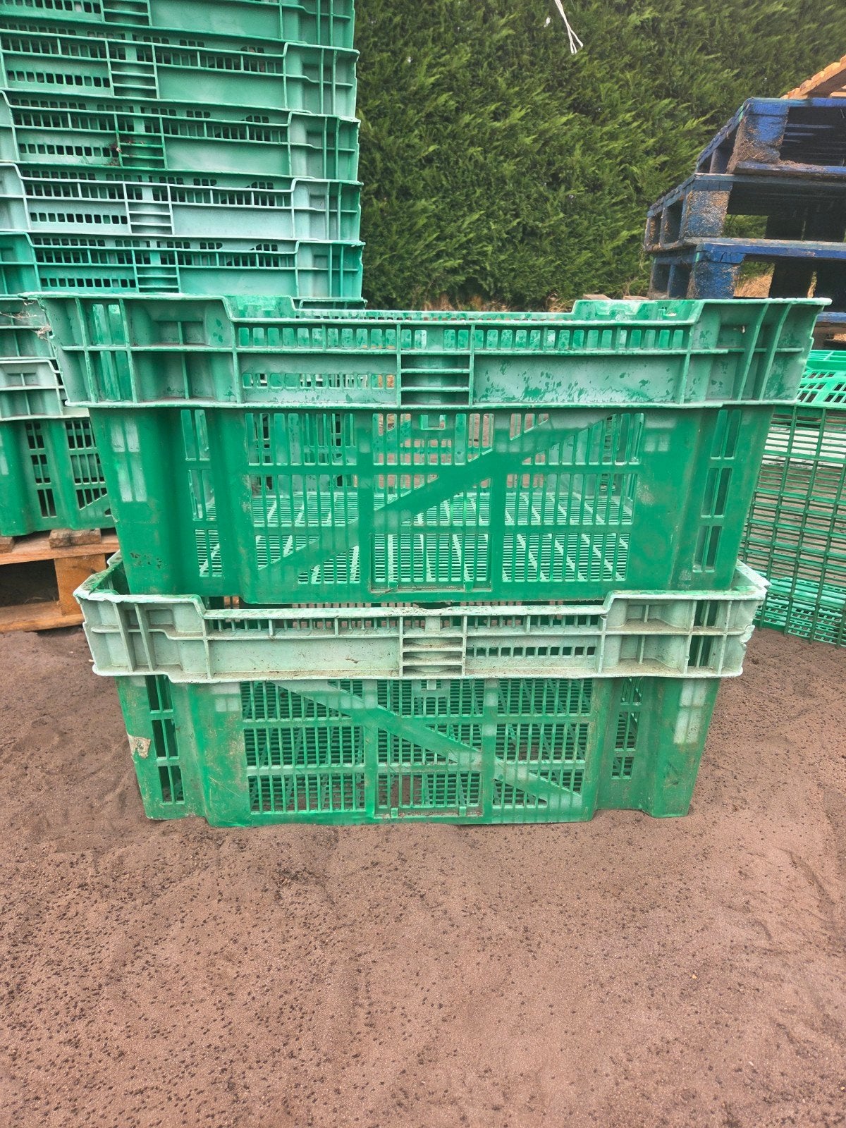 Groene kunststof kratten nestelbaar, Ophalen, Gebruikt, 40 tot 60 cm, 50 tot 75 cm