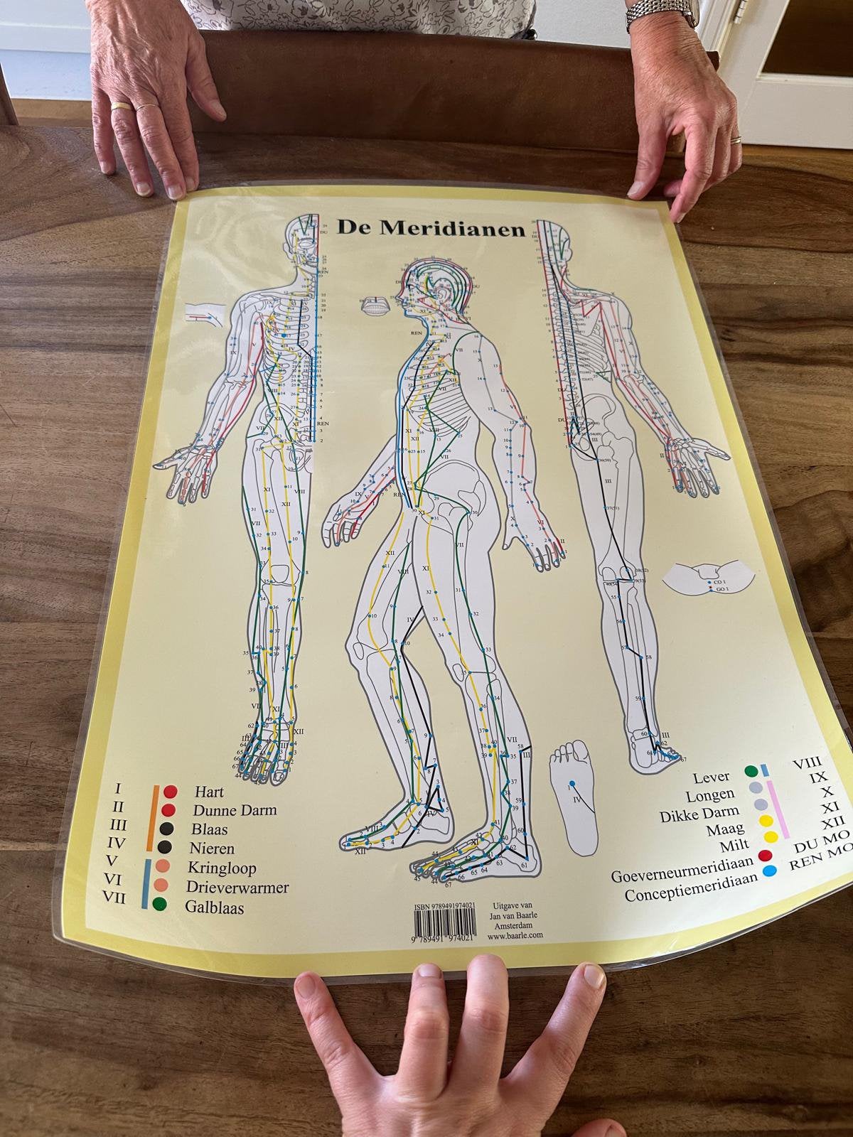 Medianen poster, Ophalen of Verzenden, Gebruikt