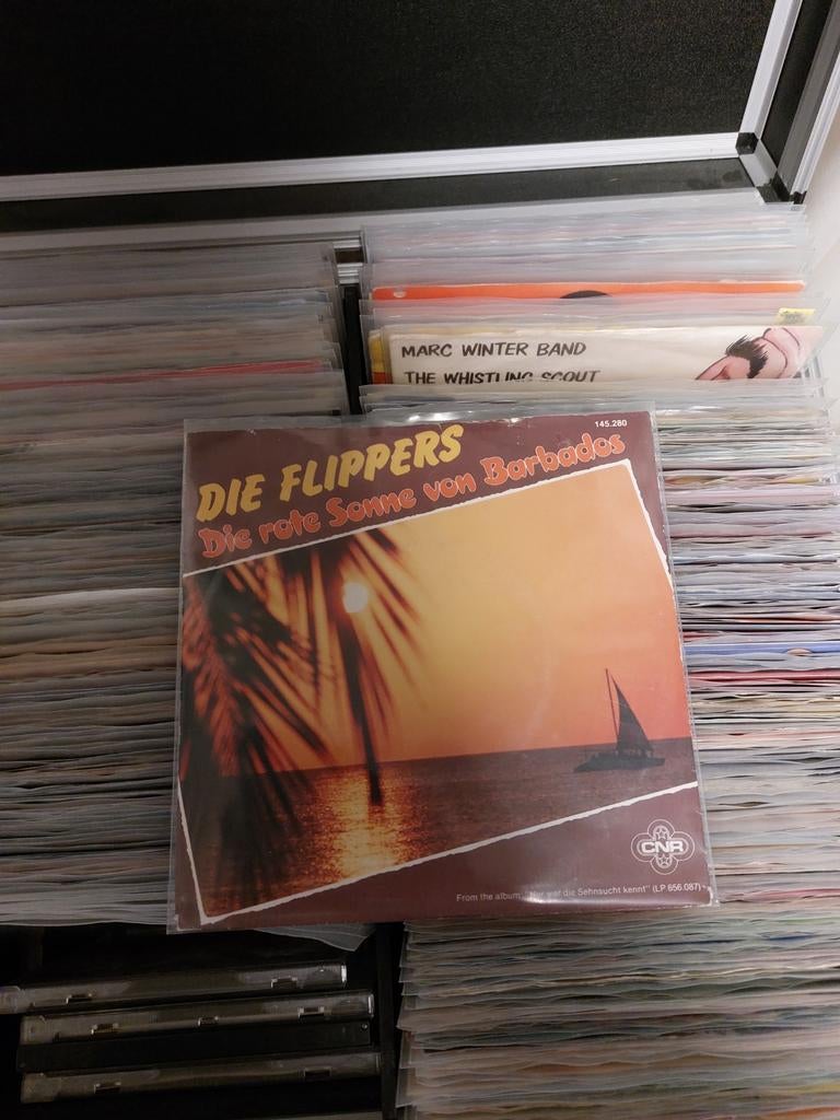 singel flippers, Ophalen of Verzenden, Zo goed als nieuw, Overige formaten, Overige genres