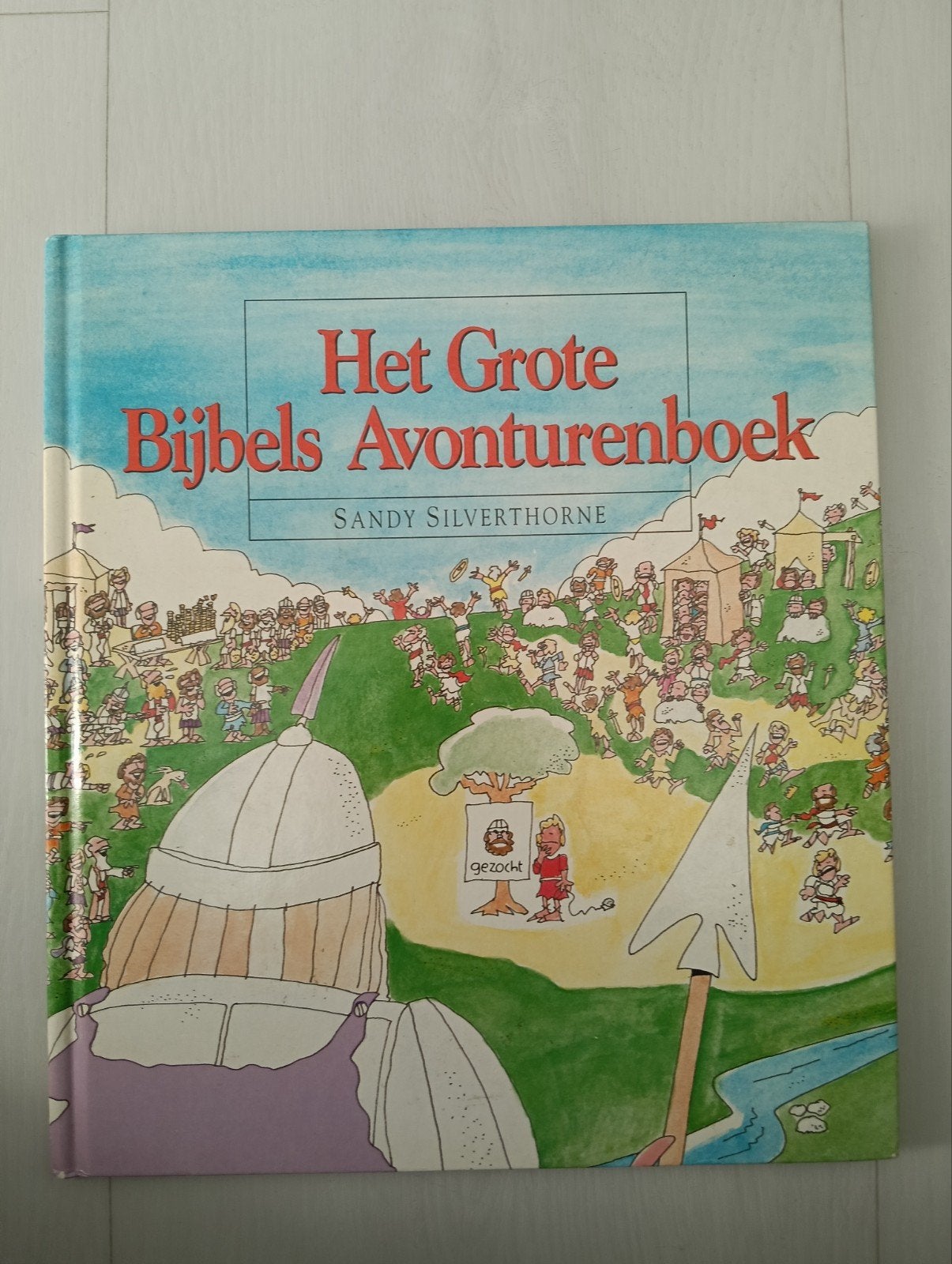 Het Grote Bijbels Avonturenboek - Sandy Silverthorne, Ophalen of Verzenden, Gelezen, Fictie algemeen