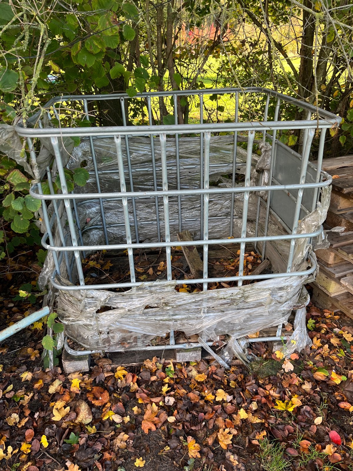IBC krat - robuust en veelzijdig, Ophalen, Gebruikt, 100 cm of meer, 60 cm of meer