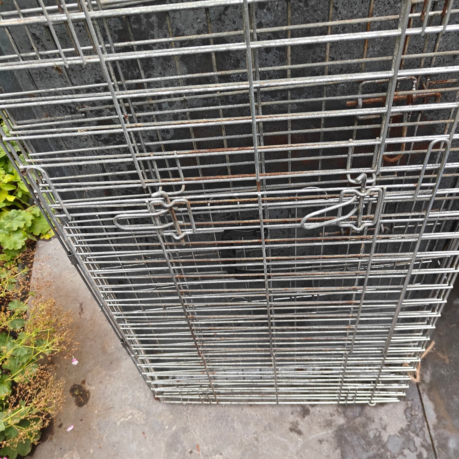 hondenbench staal uitklapbaar, Ophalen